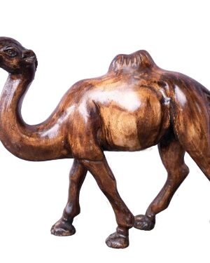 Camel
