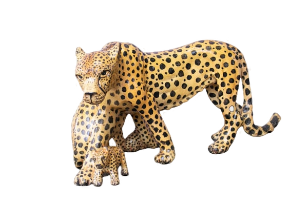 Cheater Carrying Cub