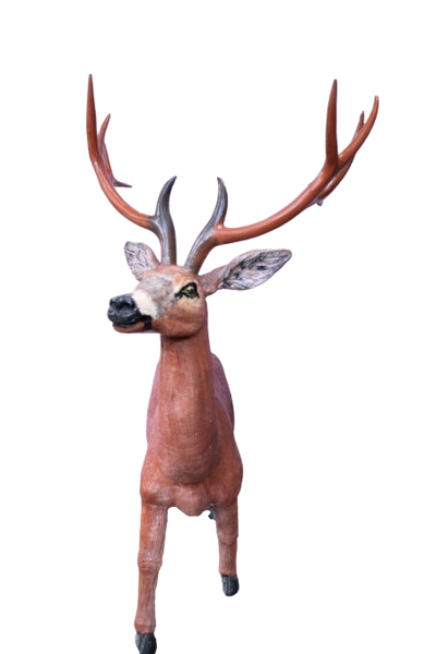 Deer