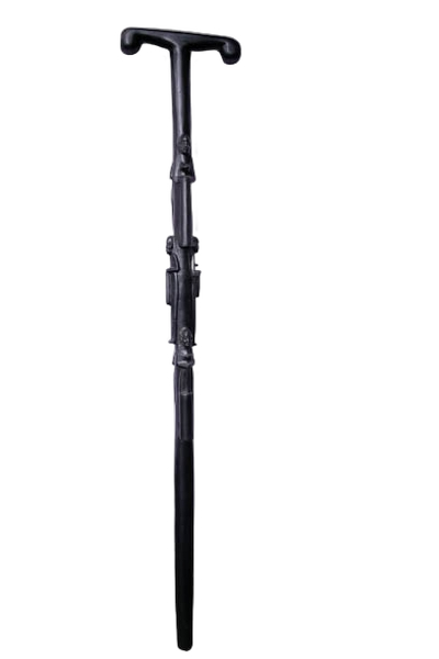 Walking Stick Decorated