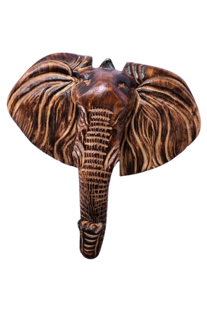 Elephant Head Brown